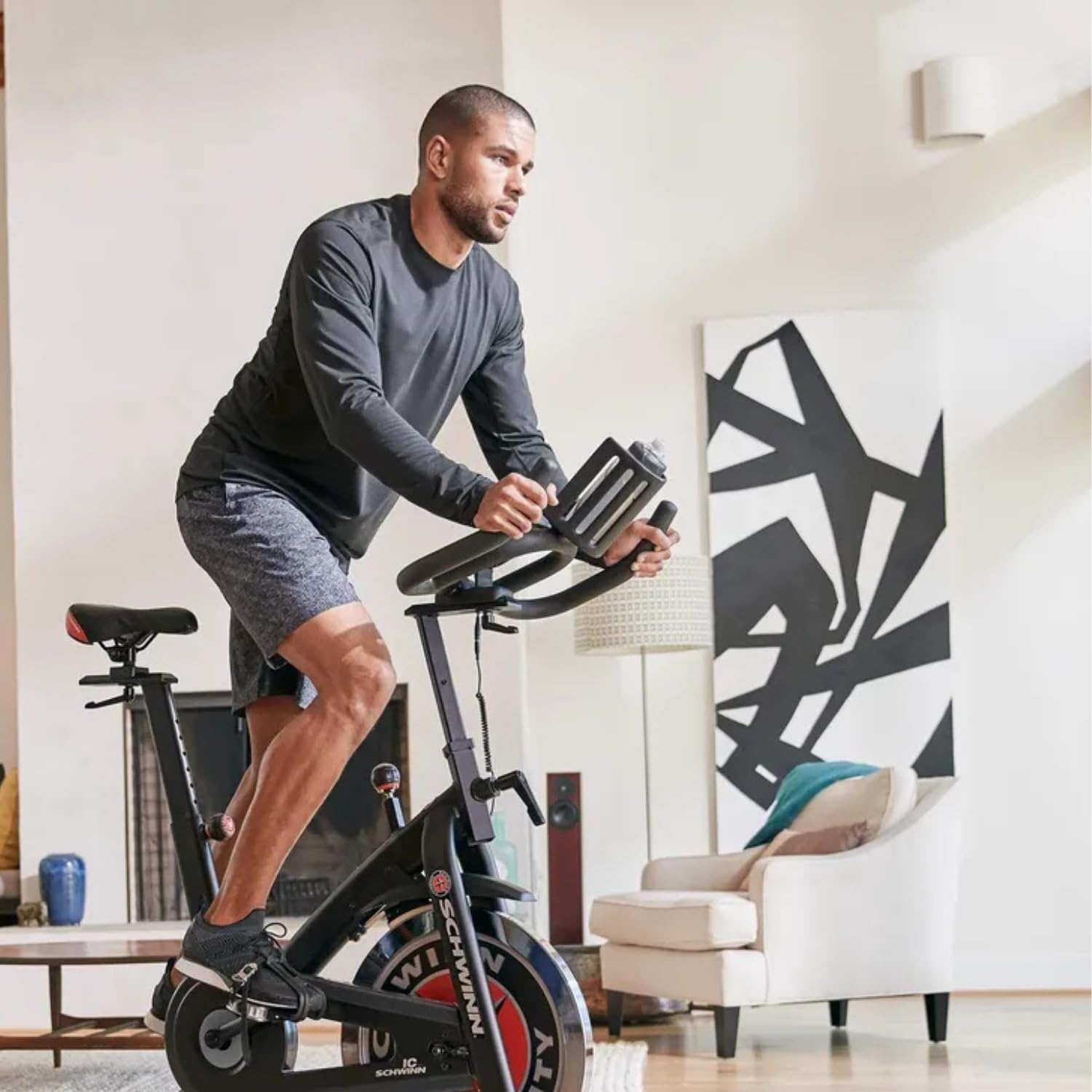 Schwinn Fitness 700IC Indoor Cycle Bike - Quiet Belt Drive